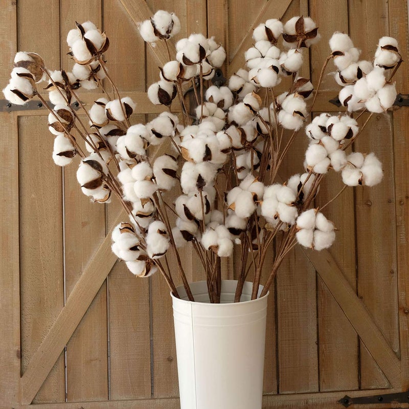 idyllic Cotton Stems Decor Branches, Cotton Flowers Plants for Decorations, Dried Flowers for Vase, 6 Pcs-31 Inches Tall - 12 Bolls per Stem - Image 2